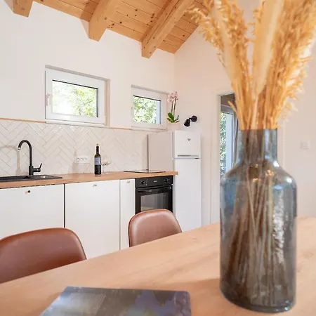 D_view דירה חוואר